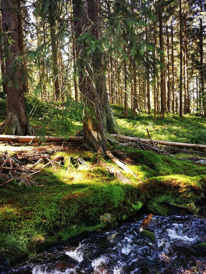 Chillout-Aparts Сверадув-Здруй Экстерьер фото